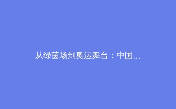 从绿茵场到奥运舞台：中国体育产业数字化转型的机遇与挑战 - 4
